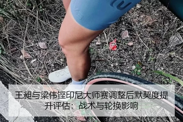 wang-chang-yu-liang-wei-keng-yin-ni-da-shi-sai-tiao-zheng-hou-mo-qi-du-ti-sheng-ping-gu-zhan-shu-yu-lun-huan-ying-xiang-2-950.jpg